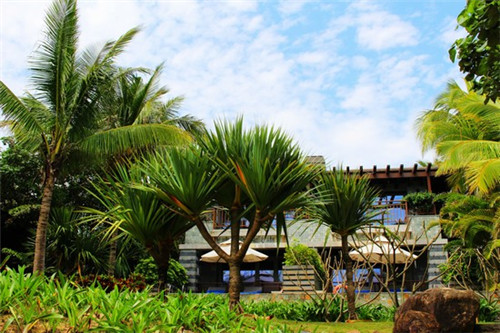 沃朵爆弹牛蛙炸串