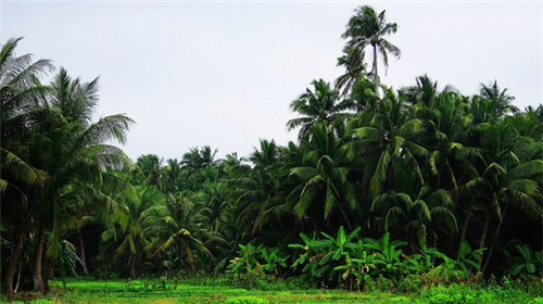 民众酸辣粉加盟费用多少钱才够