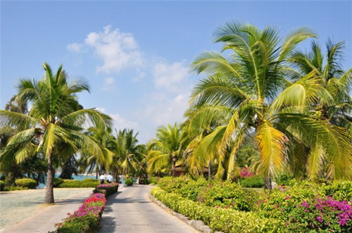 南平鸡爪加盟店怎么加盟