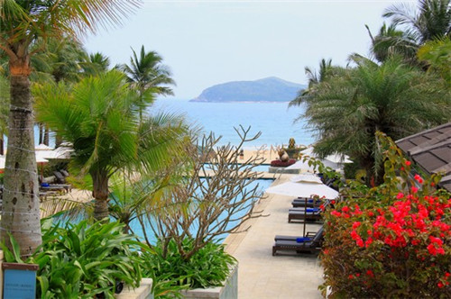 县城可以开彼此的茶吗