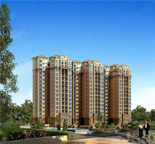 炒苦丁茶怎么炒最好吃呢（苦丁茶怎么煮好喝）