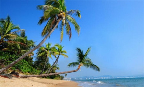 我国最好听的歌叫什么歌（中国最好听的歌叫什么名字）