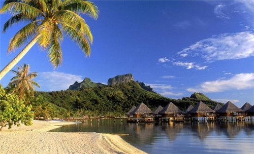 两相情原的同义词（两相情愿指什么生肖）