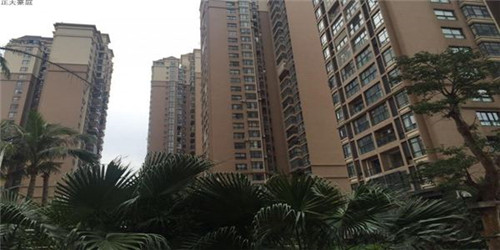 滑雪跳崖十大纪录是什么（滑雪跳崖十大纪录是什么意思）